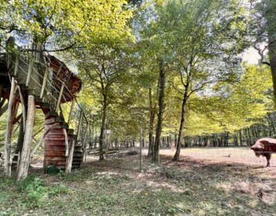 Cabane perchée Chasseur