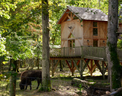 Cabane perchée Ranch