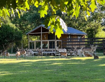 Cabane duo Sika