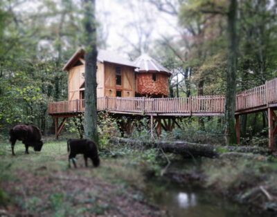 Cabane perchée Ranch