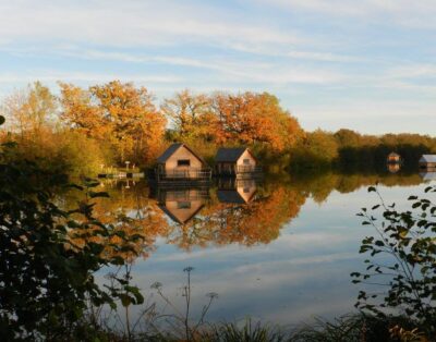 Cabanes flottantes (Cygne, Poisson, Libellule)