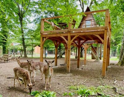 Cabane perchée Cerf et Renne