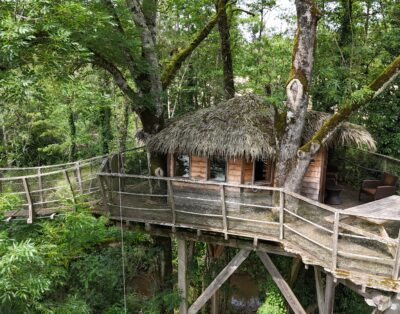 Cabane perchée des Feuilles