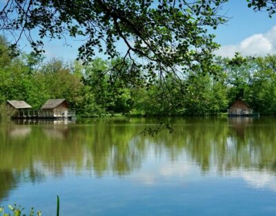 Cabanes flottantes (Cygne, Poisson, Libellule)