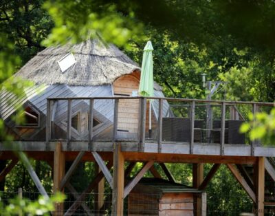 Cocon perché des hiboux